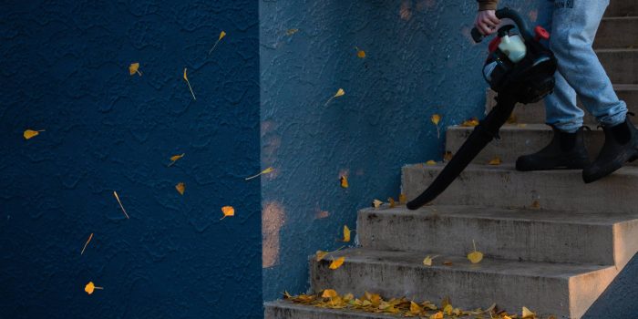 Eine Person benutzt einen Laubbläser, um gelbe Herbstblätter von einer Beton-Treppe vor einer dunkelblauen Wand zu entfernen.